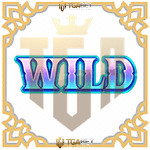 Symbol Wild